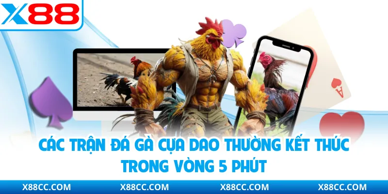 Luật Đá Gà Online X88 Và Các Nguyên Tắc Phân Định Thắng Thua 2 Các trận đá gà cựa dao thường kết thúc trong vòng 5 phút